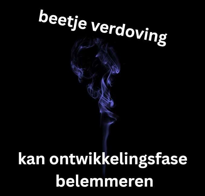 Soms is iets wat een groot probleem lijkt helemaal geen probleem….